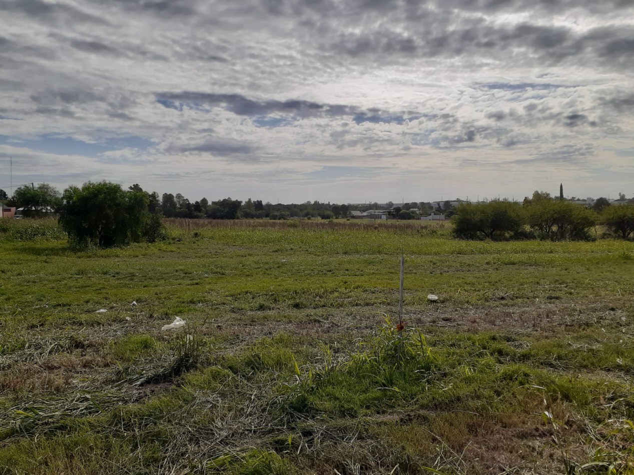 EN VENTA- GRAN FRACCION DE TERRENO EN IMPORTANTE ZONA DE SAN BENITO