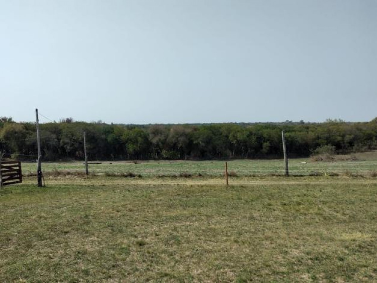 EN VENTA- LOTE EN ALVEAR 