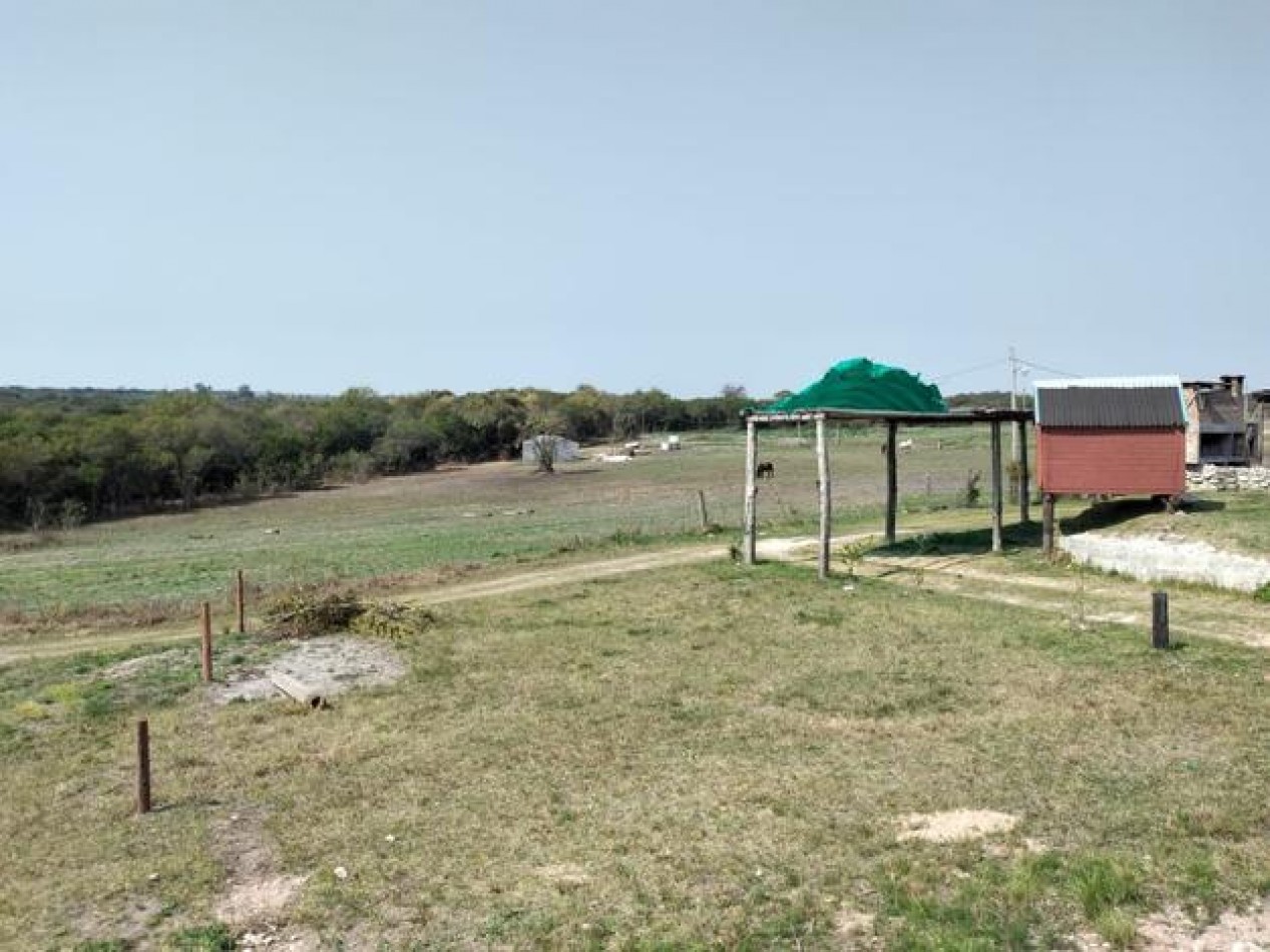 EN VENTA- LOTE EN ALVEAR 