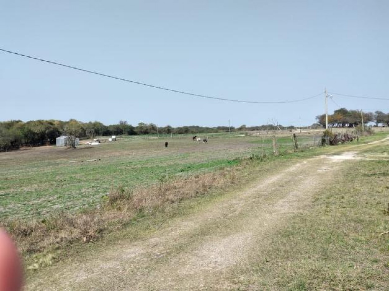 EN VENTA- LOTE EN ALVEAR 